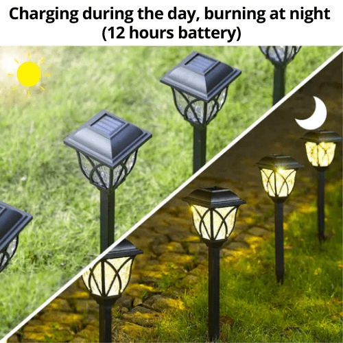 Illuminez votre Jardin avec une Lumière Automatique et Sanguine