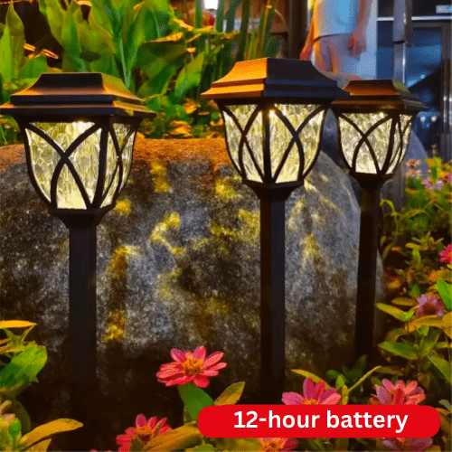 Illuminez votre Jardin avec une Lumière Automatique et Sanguine