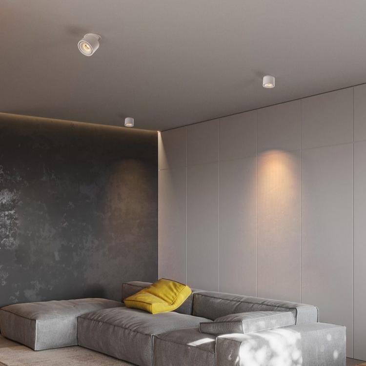Die Cilinder Einbau Lampe : élégance et Efficacité à Portée de Main