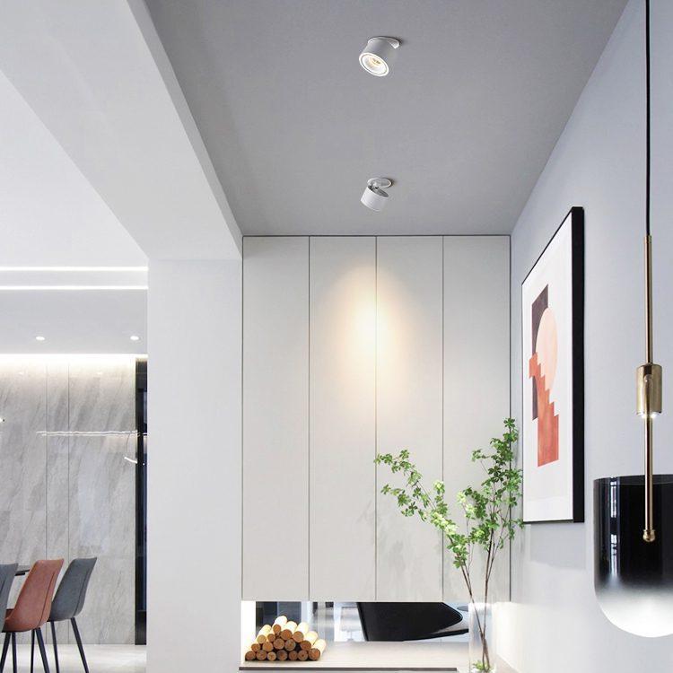 Die Cilinder Einbau Lampe : élégance et Efficacité à Portée de Main
