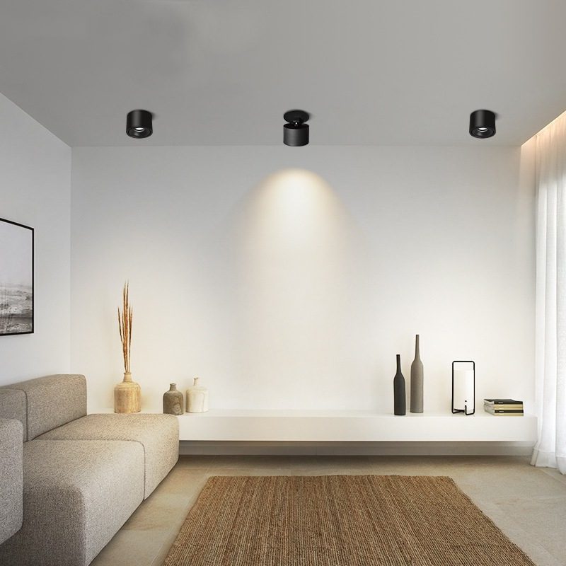 Die Cilinder Einbau Lampe : élégance et Efficacité à Portée de Main