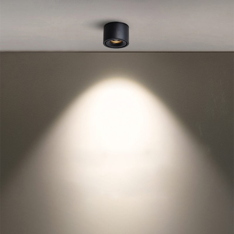 Die Cilinder Einbau Lampe : élégance et Efficacité à Portée de Main