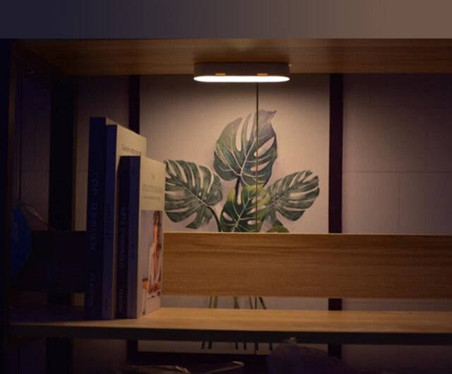 Lampe Murale à Détecteur de Mouvement, Idéale pour votre Maison