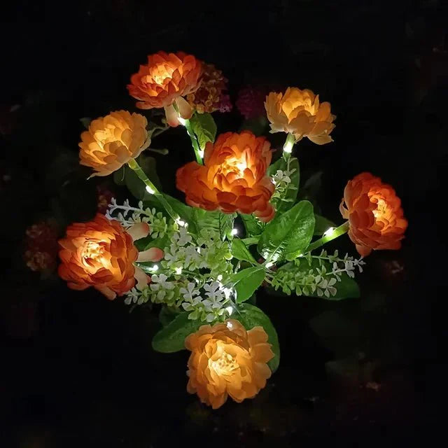 Éclairez votre Extérieur avec la Solarglow et sa Puissante Illumination