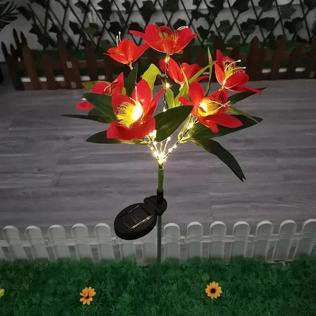 Éclairez votre Extérieur avec la Solarglow et sa Puissante Illumination