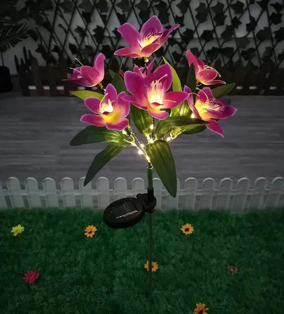Éclairez votre Extérieur avec la Solarglow et sa Puissante Illumination