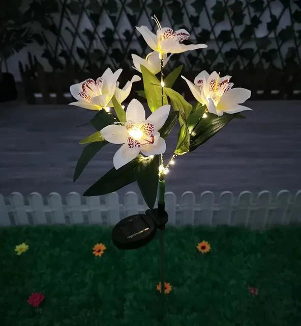 Éclairez votre Extérieur avec la Solarglow et sa Puissante Illumination