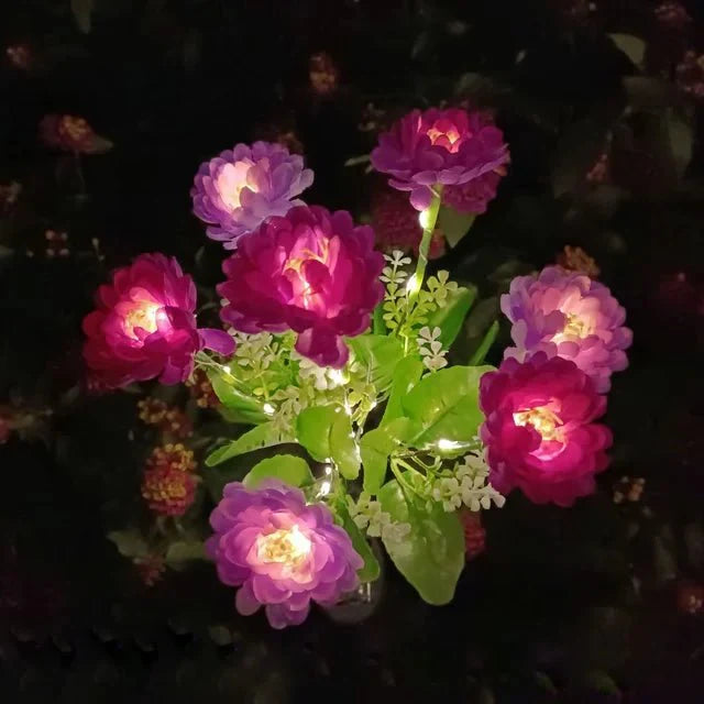 Éclairez votre Extérieur avec la Solarglow et sa Puissante Illumination