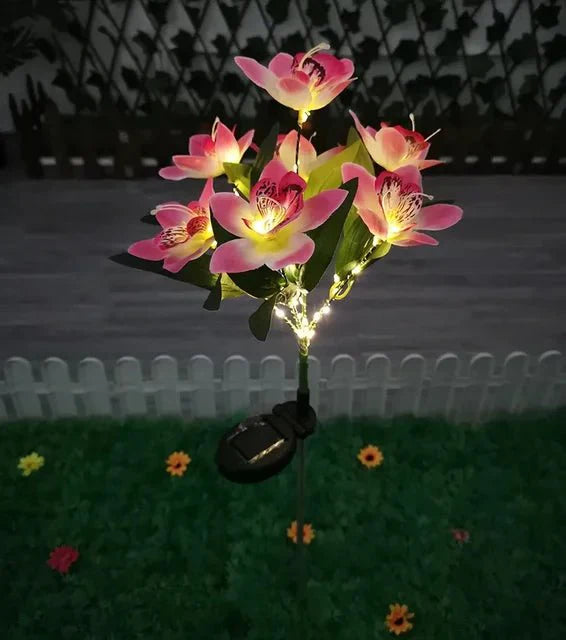 Éclairez votre Extérieur avec la Solarglow et sa Puissante Illumination