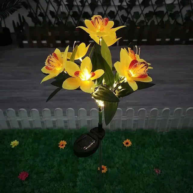 Éclairez votre Extérieur avec la Solarglow et sa Puissante Illumination