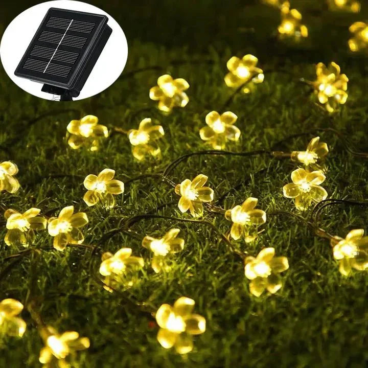 Lumiblossom : éclairez avec Amour votre Jardin en Fleurs