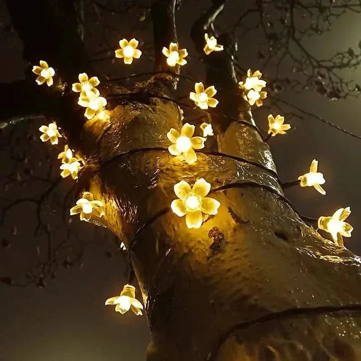 Lumiblossom : éclairez avec Amour votre Jardin en Fleurs