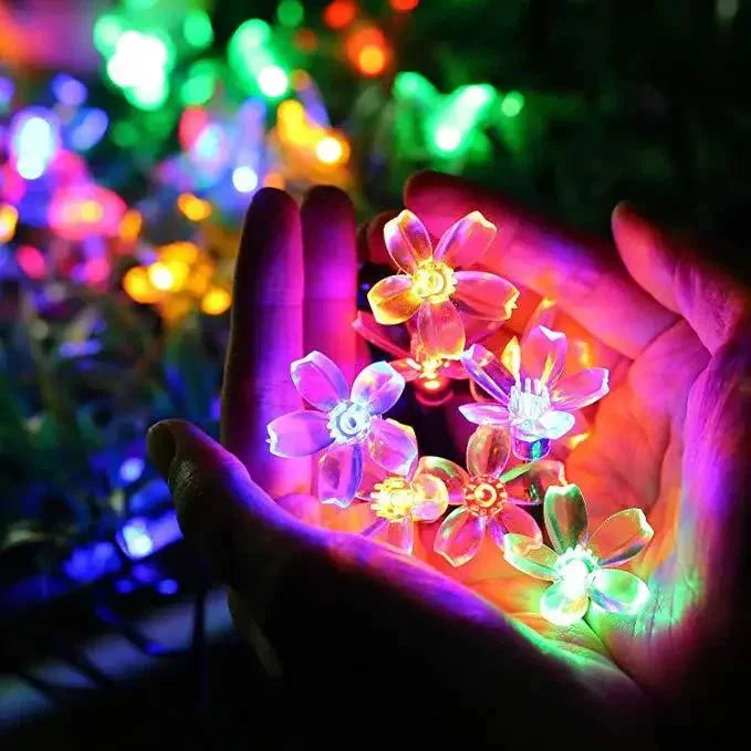 Lumiblossom : éclairez avec Amour votre Jardin en Fleurs