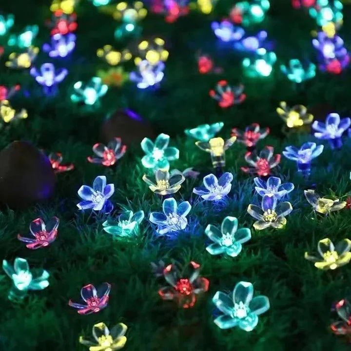 Lumiblossom : éclairez avec Amour votre Jardin en Fleurs