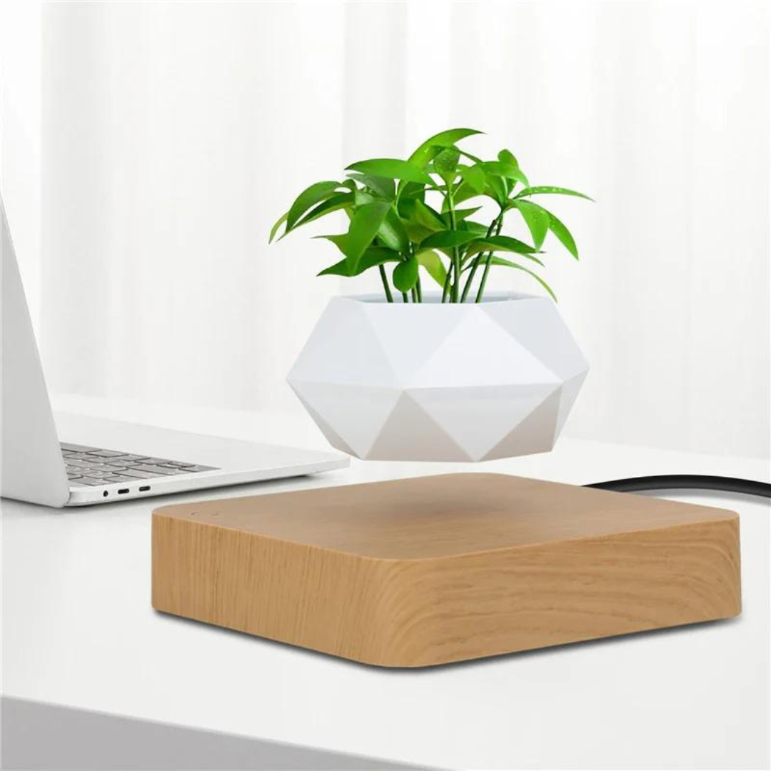 FloraSchwebe Levitation Lamp