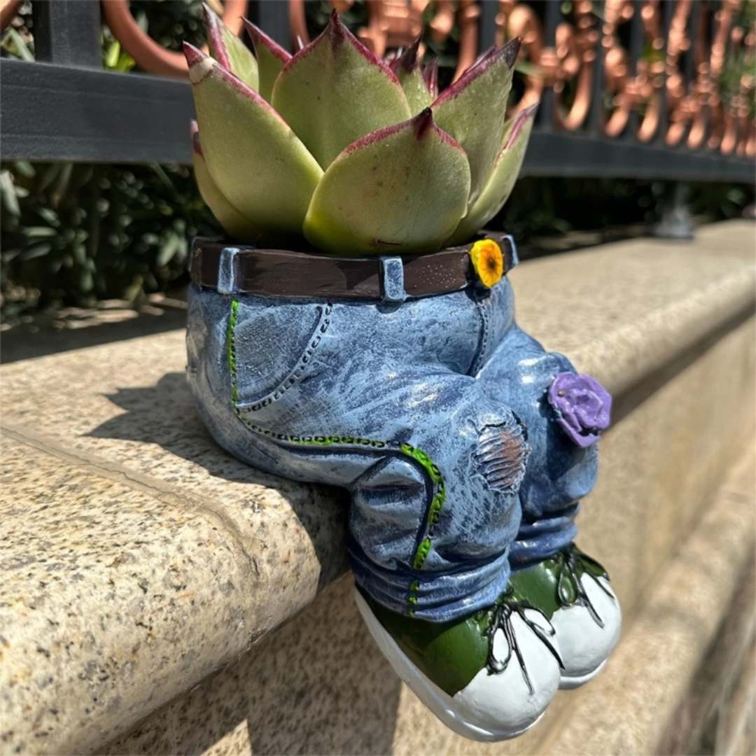 Denim Style Garden Plant