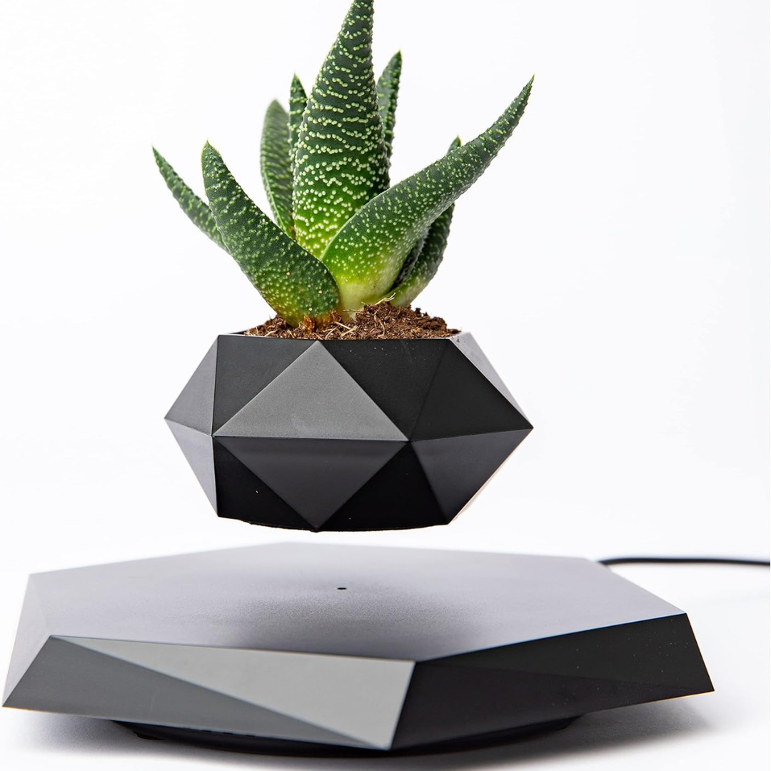 FloraSchwebe Levitation Lamp