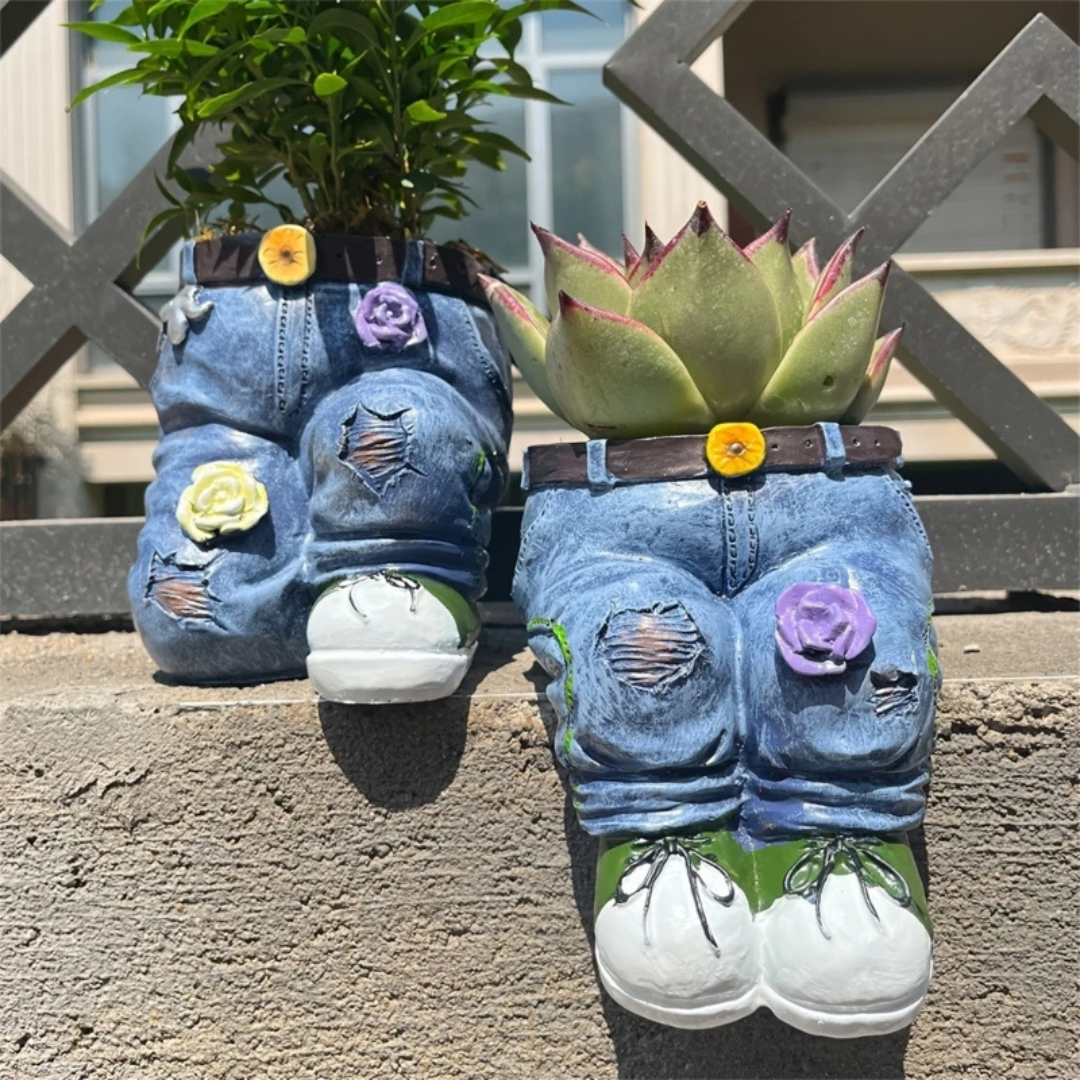 Denim Style Garden Plant