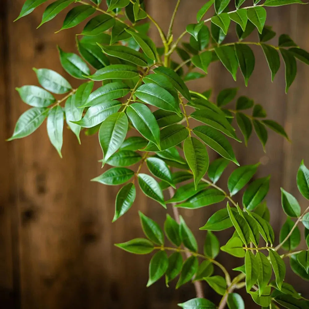 Branche artificielle de ficus - Parfait pour le salon Sosho