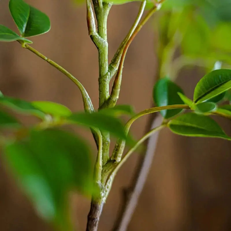 Branche artificielle de ficus - Parfait pour le salon Sosho