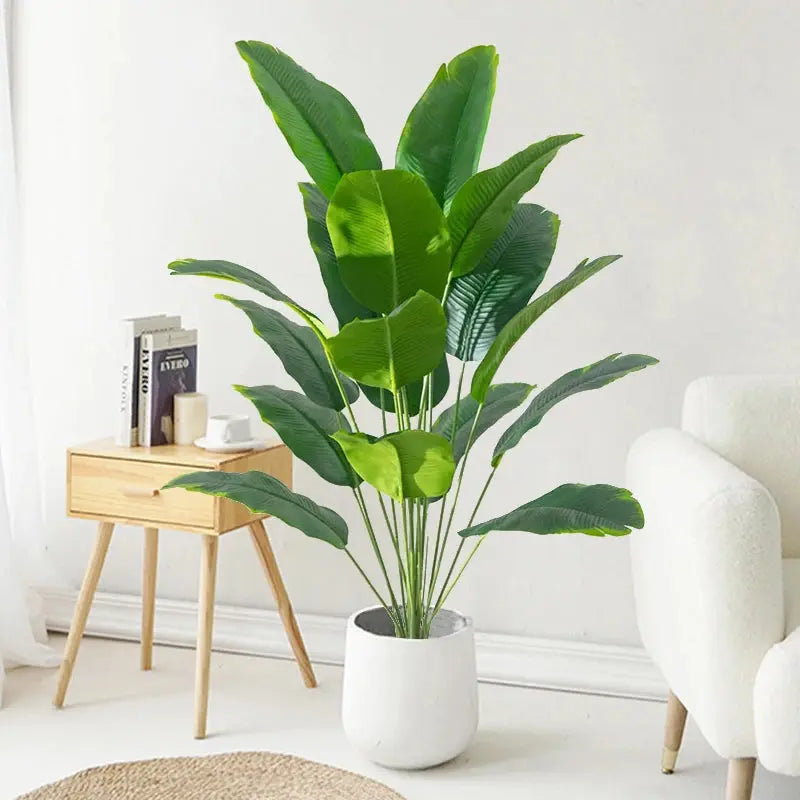 Plante Tropicale - Feuilles de Palmier Sosho