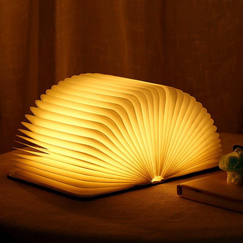 Damaged book lamp