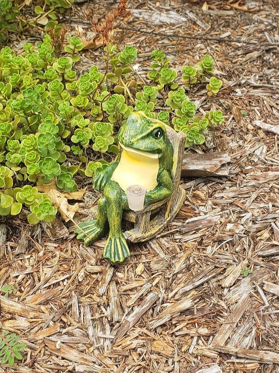 Glänzender Gartenfrosch