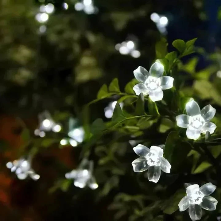 Solarflowers Garden Lights